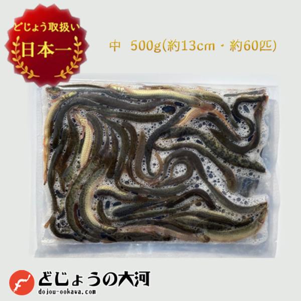 【 どじょう 日本一】冷凍  エサ どじょう 500g 中【約13cm 約60匹】どじょう エサ 釣...