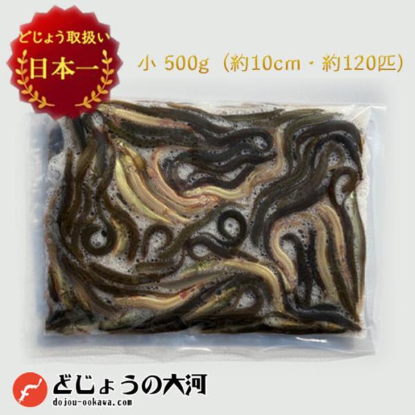 冷凍 餌 どじょう 500g 小 (約10cm 約120匹) エサ 釣り えさ 熱帯魚 古代魚 ドジ...