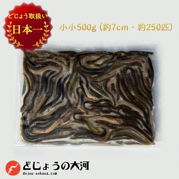 【 どじょう 日本一】冷凍 どじょう 500g 小小【約7cm 約250匹】 エサ 釣り 熱帯魚 古...