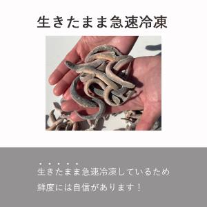 真空 バラ 冷凍 どじょう『凍眠』450g(小...の詳細画像4