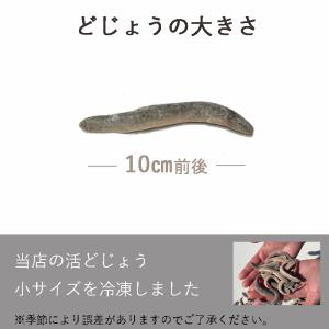 真空 バラ 冷凍 どじょう『凍眠』450g(小...の詳細画像5