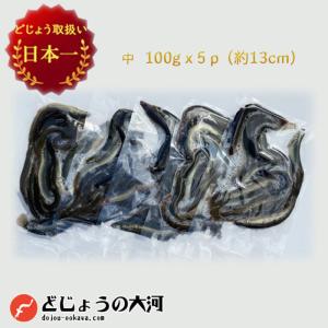 【レビューを書いてプレゼント！】冷凍 エサ どじょう 100g×5パック 中【約13cm 約12匹×...