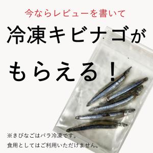 タチウオ 釣り 冷凍 どじょう (関西地域特別...の詳細画像1