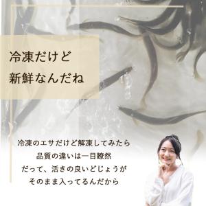 タチウオ 釣り 冷凍 どじょう (関西地域特別...の詳細画像4