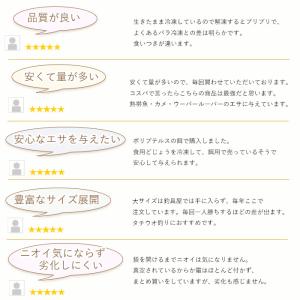 タチウオ 釣り 冷凍 どじょう (関西地域特別...の詳細画像5