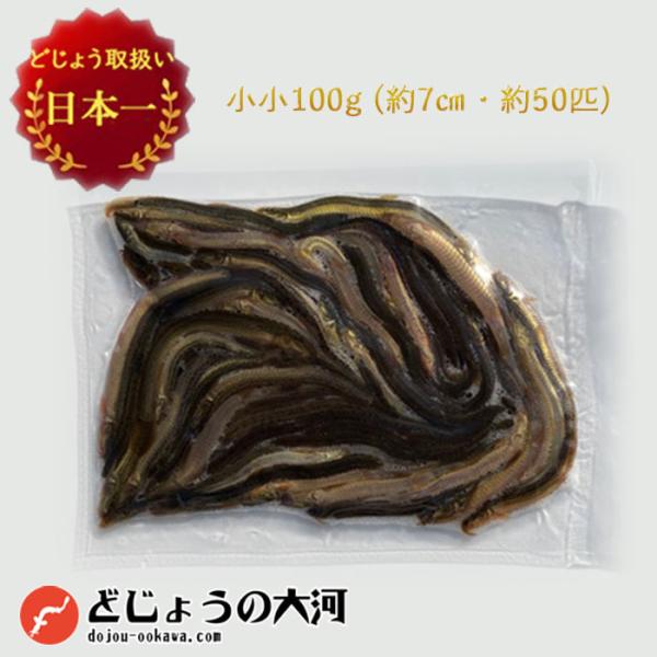 【 どじょう 日本一】冷凍 どじょう 100g 小小【約7cm 約50匹】 エサ どじょう エサ 釣...