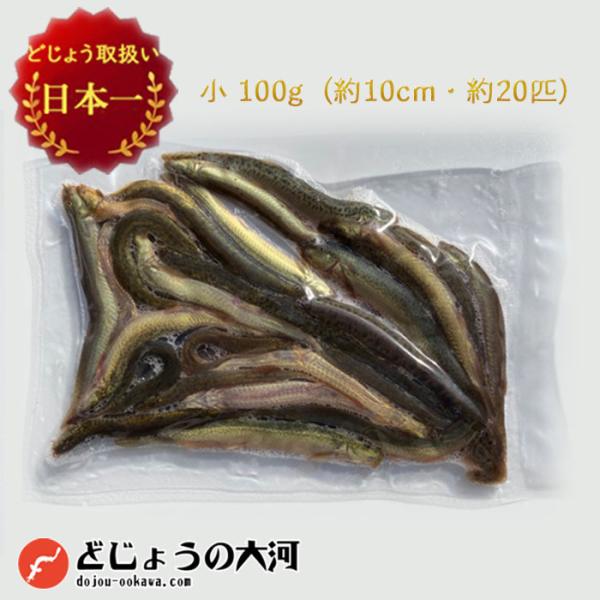 冷凍 餌 どじょう 100g 小 (約10cm 約20匹) エサ 釣り えさ 熱帯魚 古代魚 ドジョ...