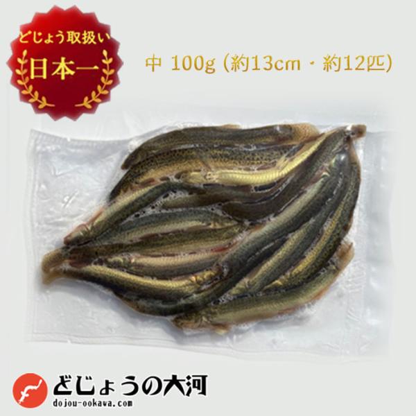 冷凍 餌 どじょう 100g 中 (約13cm 約12匹) エサ 釣り えさ 熱帯魚 古代魚 ドジョ...