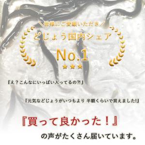 どじょう エサ 1kg 小 (約10cm 約2...の詳細画像1