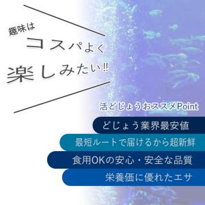 どじょう エサ 1kg 小 (約10cm 約2...の詳細画像4