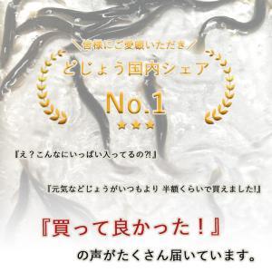 どじょう エサ 500g 小小 (約7cm 約...の詳細画像1