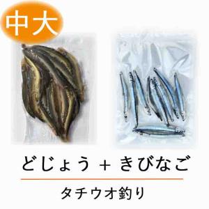 【タチウオ 釣り テンヤ 釣り 餌 ！】冷凍 どじょう (中大)100ｇと 冷凍 きびなご 10匹の 釣り セット！ 太刀魚 の テンヤ 釣り に最適な 釣り エサ ！ つり 餌｜dojou-ookawa