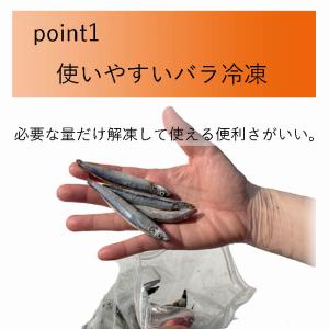 バラ 冷凍 きびなご エサ 真空パック 500...の詳細画像2