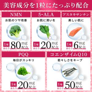 爆買 NMN5-ALA PQQアスタキサンチン...の詳細画像3