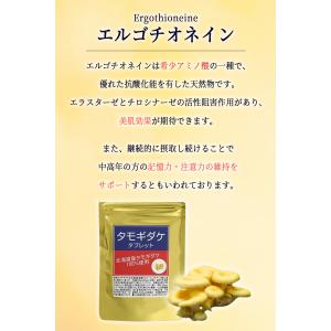 爆買 たもぎ茸タブレット360粒×250mg ...の詳細画像4