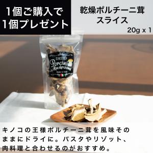 乾燥ポルチーニ茸スライス 20g  ポルチーニ ドライ イタリア1個ご購入で1個プレゼント ジャパンソルト Japan Salt ドルチェヴィータ Dolce Vita