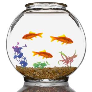 マリモ インテリア 花 ガーデニング の商品一覧 通販 Yahoo ショッピング