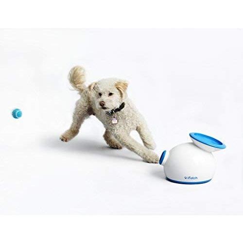iFetch インターアクティブ ボールランチャー犬用 - 小型テニスボール