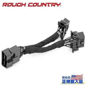 [ROUGH COUNTRY(ラフカントリー)正...の商品画像
