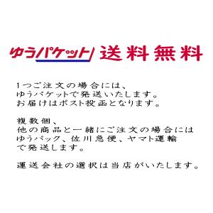 レインコート レインパンツ 雨具 上下セット ...の詳細画像4