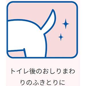 ライオン (LION) ペットキレイ 除菌でき...の詳細画像4