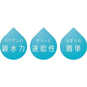 パール金属 珪藻土 水切りプレート 285×2...の詳細画像3