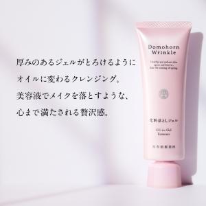 公式 ドモホルンリンクル 【しっとり×つるすべ...の詳細画像2