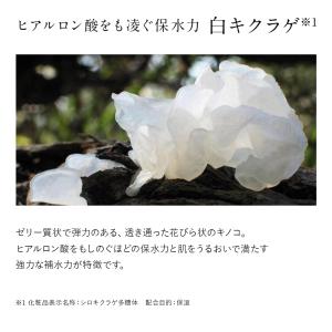 公式 ドモホルンリンクル うるおいベーシック ...の詳細画像5