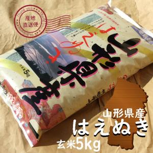 はえぬき お米 10kg 玄米 山形県 10kg×1袋 7年度産 : 庄内米産直店