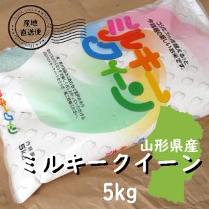 お米 5kg ミルキークイーン 白米 山形県 庄内 5kg×1袋 5年度産