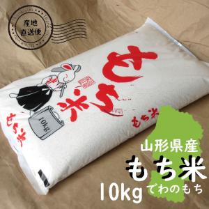 お米 10kg もち米 でわのもち 白米山形県 庄内 10kg×1袋