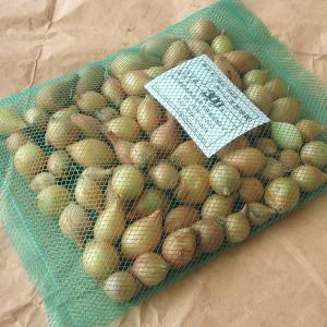 野菜・種/苗　ホームたまねぎ タマネギ 玉葱 球根 300g