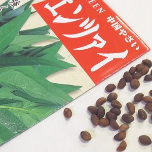 野菜の種/種子 エンツァイ 空芯菜 1袋 3mL