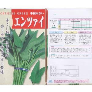 野菜の種/種子 エンツァイ 空芯菜 1袋 3mLの詳細画像1