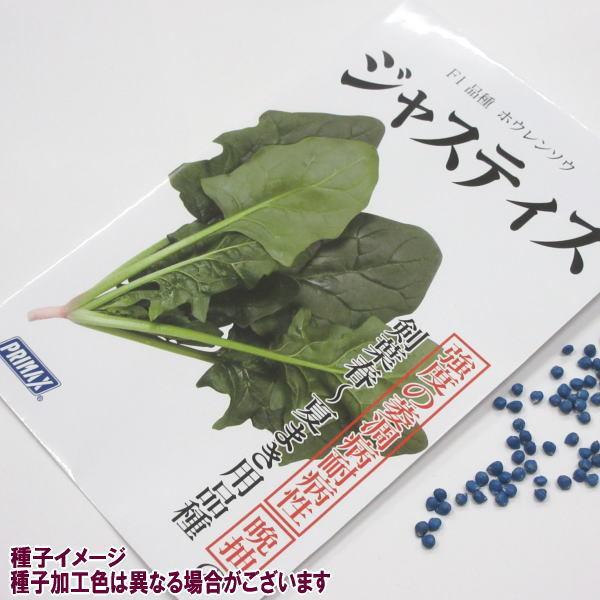 野菜の種/種子 ほうれんそう ジャスティス サカタ交配 1袋 20mL