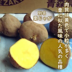野菜・種/苗 春じゃがいも種芋 インカのめざめ 馬鈴薯種芋