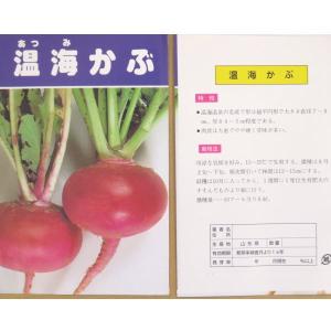 野菜の種/種子 温海かぶ 1袋 3mLの詳細画像1