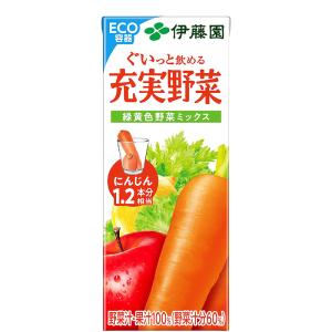 伊藤園 充実野菜 緑黄色野菜ミックス 紙パック ( 200ml*24本入