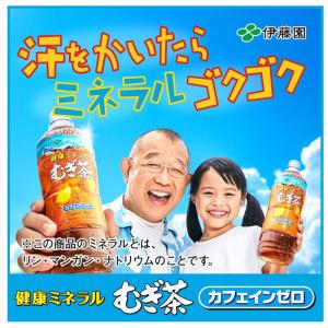 伊藤園 健康ミネラルむぎ茶 2000ml PE...の詳細画像1