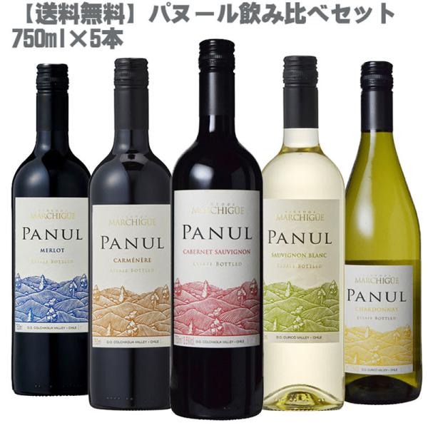 パヌール 飲み比べ５本セット 750ml×５本（チリ コスパ抜群 赤白 ワインセット）