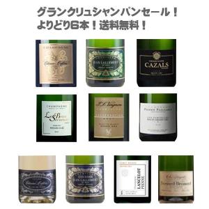 アルマン ド ブリニャック レインボー デコレーションボトル 750ml×1