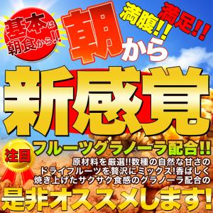 フルーツグラノーラ 豆乳おからクッキー 1kg...の詳細画像2
