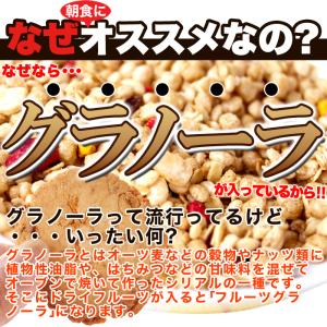 フルーツグラノーラ 豆乳おからクッキー 1kg...の詳細画像3