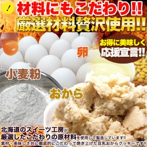 フルーツグラノーラ 豆乳おからクッキー 1kg...の詳細画像4