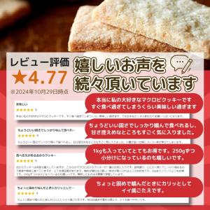 豆乳 おから マクロビ プレーン クッキー1k...の詳細画像1