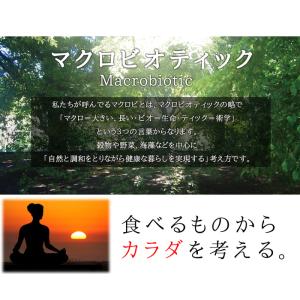 豆乳 おから マクロビ プレーン クッキー1k...の詳細画像3