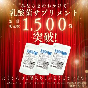 乳酸菌 サプリメント 約4ヶ月分 120粒 ビ...の詳細画像1