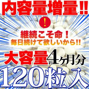 乳酸菌 サプリメント 約4ヶ月分 120粒 ビ...の詳細画像4