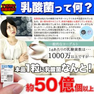 乳酸菌 サプリメント 約4ヶ月分 120粒 ビ...の詳細画像5