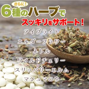 じゃばら 柑橘系 サプリメント 約4ヵ月分 1...の詳細画像3
